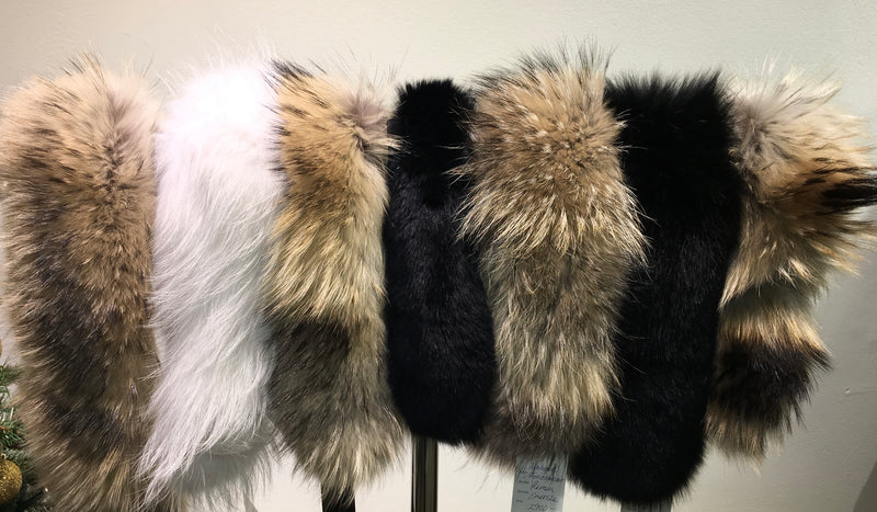 Amoress Remsa Till Huva I Finnraccoon Eller Räv